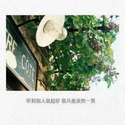 女人做保险励志语录 保险经典激励语录